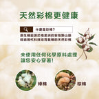 無染料天然彩棉抗菌平口褲