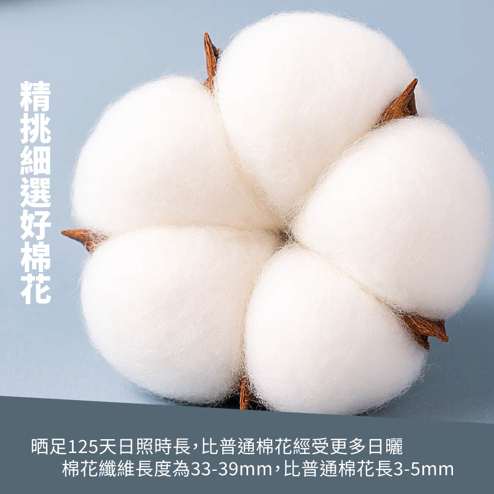 重磅純棉高彈圓形男士T恤